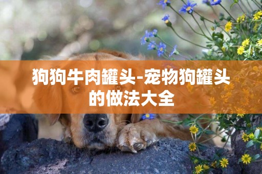 狗狗牛肉罐頭-寵物狗罐頭的做法大全