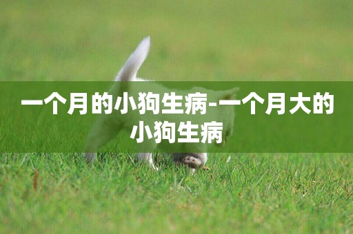 一個月的小狗生病-一個月大的小狗生病