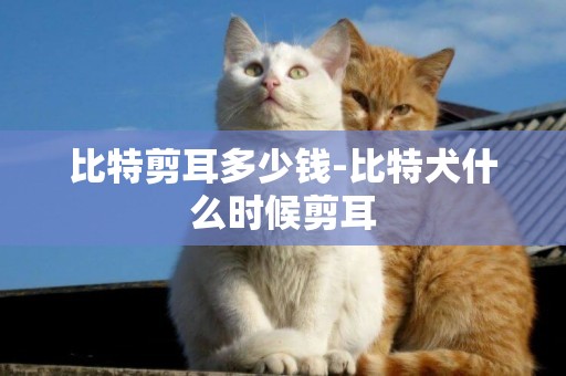 比特剪耳多少錢-比特犬什么時候剪耳