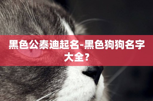 黑色公泰迪起名-黑色狗狗名字大全？