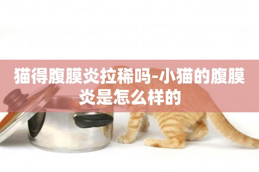 貓得腹膜炎拉稀嗎-小貓的腹膜炎是怎么樣的