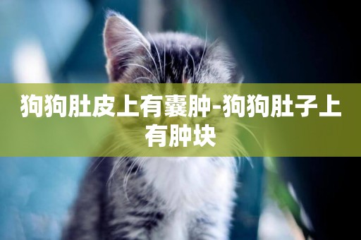 狗狗肚皮上有囊腫-狗狗肚子上有腫塊