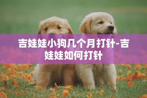 吉娃娃小狗幾個月打針-吉娃娃如何打針