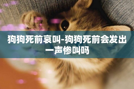狗狗死前哀叫-狗狗死前會發出一聲慘叫嗎