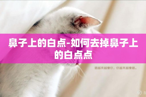 鼻子上的白點-如何去掉鼻子上的白點點