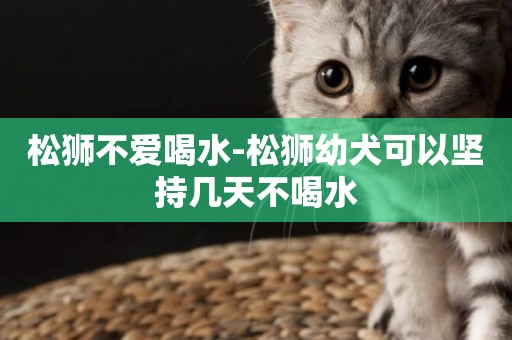 松獅不愛喝水-松獅幼犬可以堅持幾天不喝水