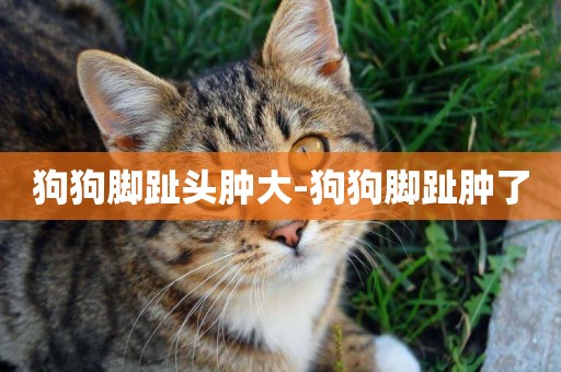 狗狗腳趾頭腫大-狗狗腳趾腫了