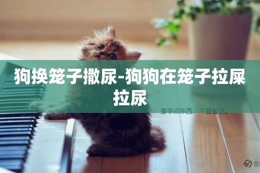 狗換籠子撒尿-狗狗在籠子拉屎拉尿