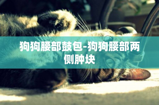 狗狗腰部鼓包-狗狗腰部兩側腫塊