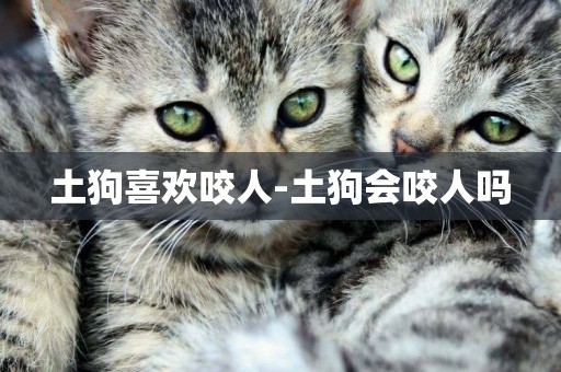 土狗喜歡咬人-土狗會咬人嗎