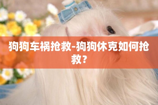 狗狗車禍搶救-狗狗休克如何搶救？