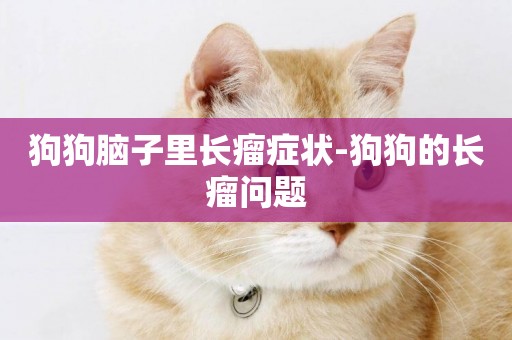 狗狗腦子里長瘤癥狀-狗狗的長瘤問題
