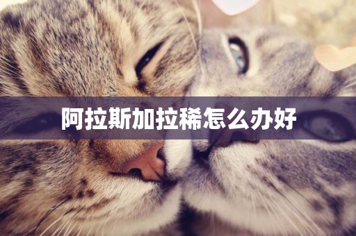 阿拉斯加拉稀怎么辦好
