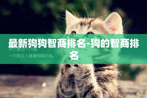 最新狗狗智商排名-狗的智商排名