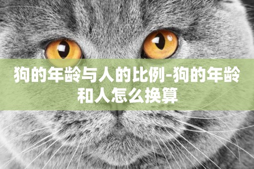 狗的年齡與人的比例-狗的年齡和人怎么換算