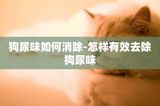 狗尿味如何消除-怎樣有效去除狗尿味