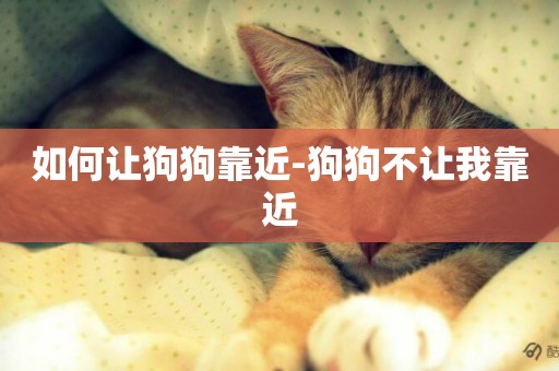 如何讓狗狗靠近-狗狗不讓我靠近