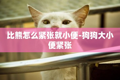 比熊怎么緊張就小便-狗狗大小便緊張