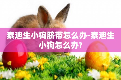 泰迪生小狗臍帶怎么辦-泰迪生小狗怎么辦?