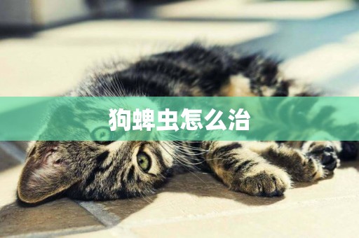 狗蜱蟲怎么治