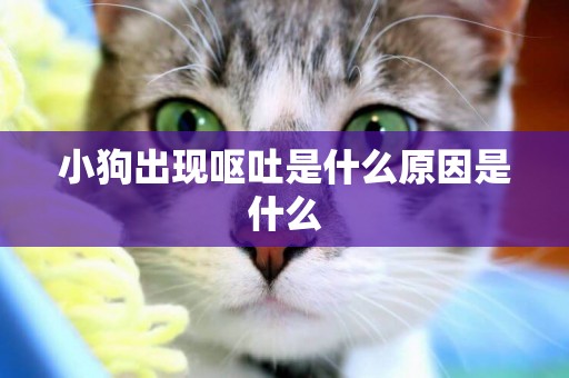 小狗出現嘔吐是什么原因是什么