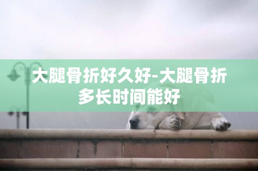 大腿骨折好久好-大腿骨折多長時間能好