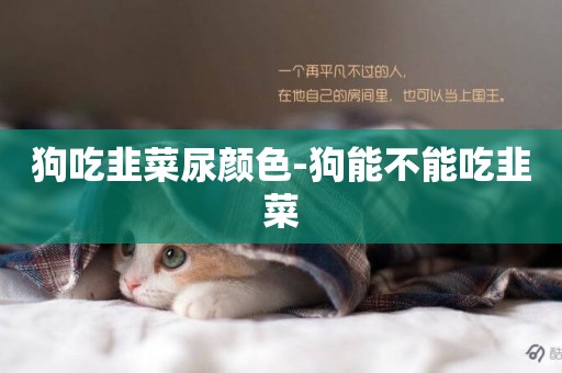 狗吃韭菜尿顏色-狗能不能吃韭菜