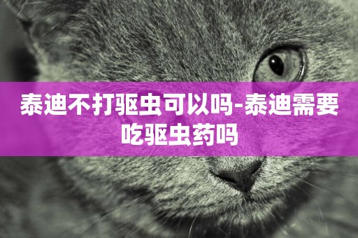 泰迪不打驅蟲可以嗎-泰迪需要吃驅蟲藥嗎
