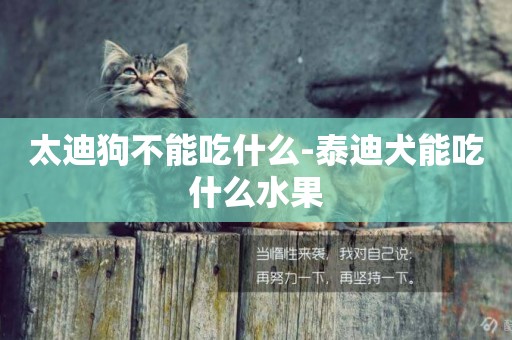 太迪狗不能吃什么-泰迪犬能吃什么水果
