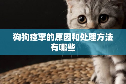 狗狗痙攣的原因和處理方法有哪些