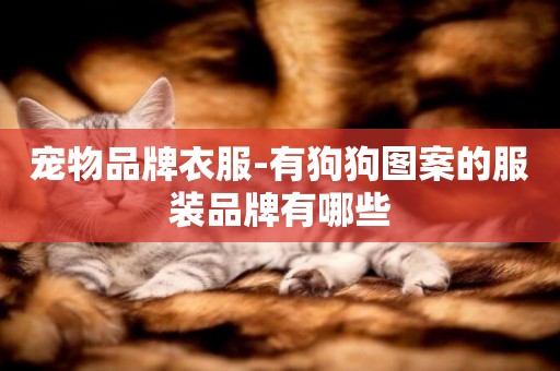 寵物品牌衣服-有狗狗圖案的服裝品牌有哪些
