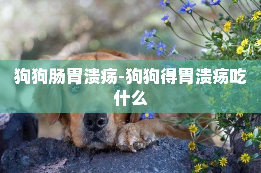 狗狗腸胃潰瘍-狗狗得胃潰瘍吃什么