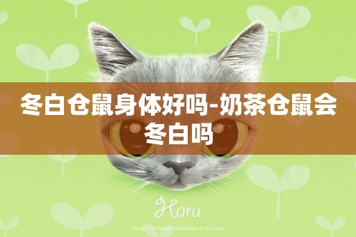 冬白倉鼠身體好嗎-奶茶倉鼠會冬白嗎