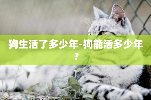 狗生活了多少年-狗能活多少年？