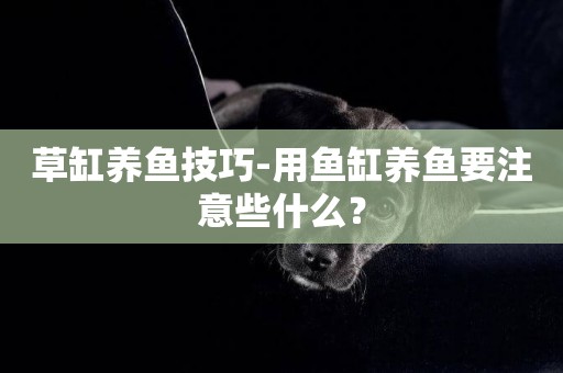 草缸養魚技巧-用魚缸養魚要注意些什么？