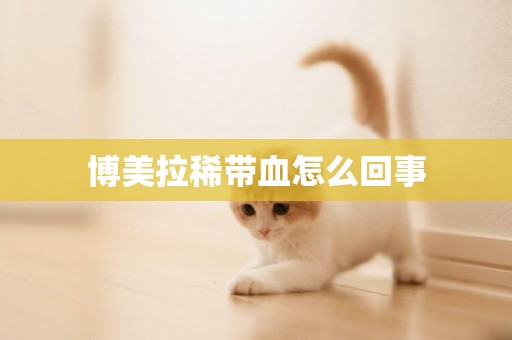 博美拉稀帶血怎么回事