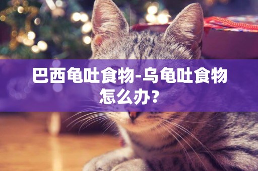 巴西龜吐食物-烏龜吐食物怎么辦？