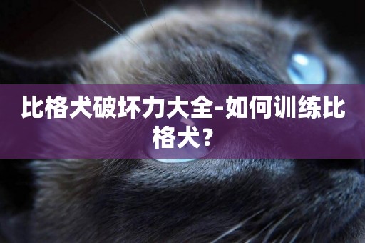 比格犬破壞力大全-如何訓練比格犬？