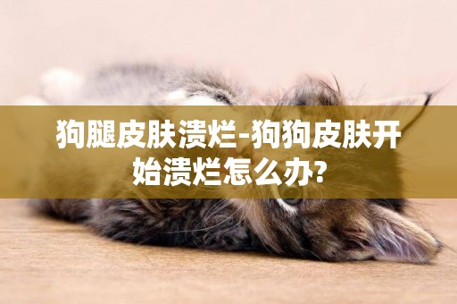 狗腿皮膚潰爛-狗狗皮膚開始潰爛怎么辦?