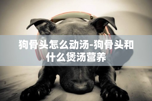 狗骨頭怎么動湯-狗骨頭和什么煲湯營養