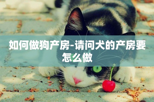 如何做狗產房-請問犬的產房要怎么做