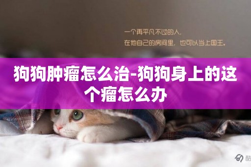 狗狗腫瘤怎么治-狗狗身上的這個瘤怎么辦