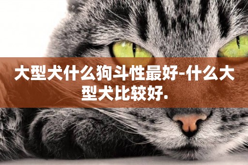 大型犬什么狗斗性最好-什么大型犬比較好.