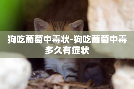 狗吃葡萄中毒狀-狗吃葡萄中毒多久有癥狀