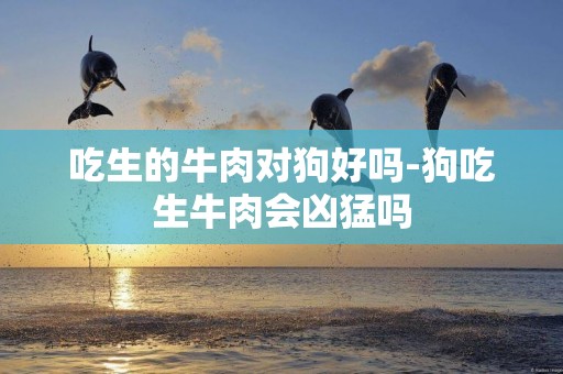 吃生的牛肉對狗好嗎-狗吃生牛肉會兇猛嗎