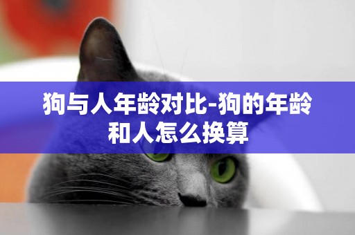 狗與人年齡對比-狗的年齡和人怎么換算
