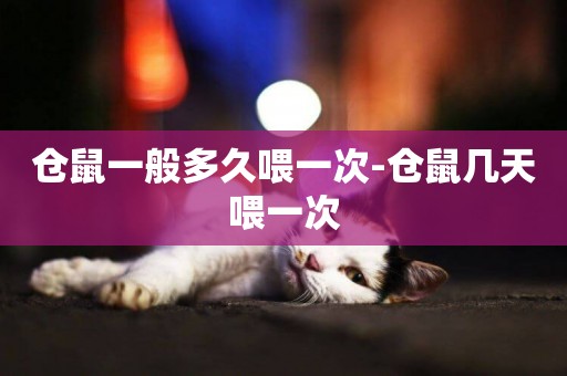 倉鼠一般多久喂一次-倉鼠幾天喂一次