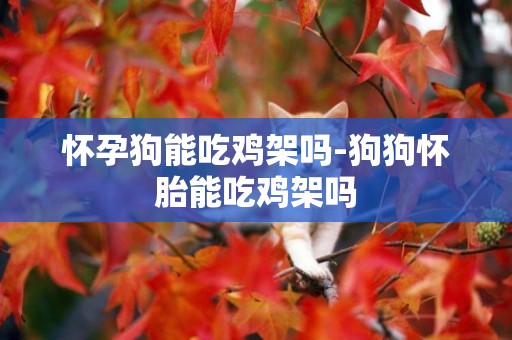 懷孕狗能吃雞架嗎-狗狗懷胎能吃雞架嗎