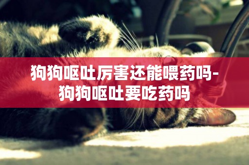 狗狗嘔吐厲害還能喂藥嗎-狗狗嘔吐要吃藥嗎