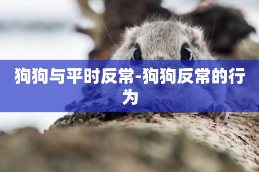 狗狗與平時反常-狗狗反常的行為